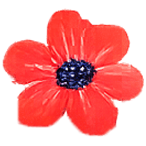 MALV014 – PHUC M NGUYEN (M) –