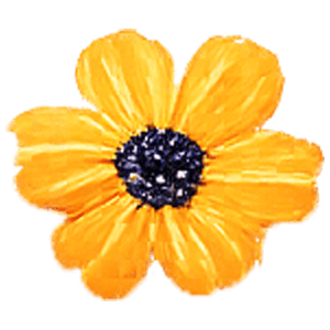 MALV016 – QUANG M NGUYEN (M) –