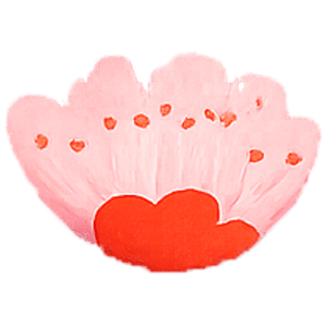 MALV017 – NGOC M NGUYEN (F) –