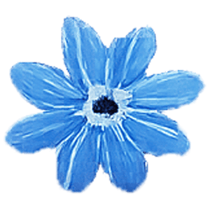 MALV013 – TAM M NGUYEN (M) –